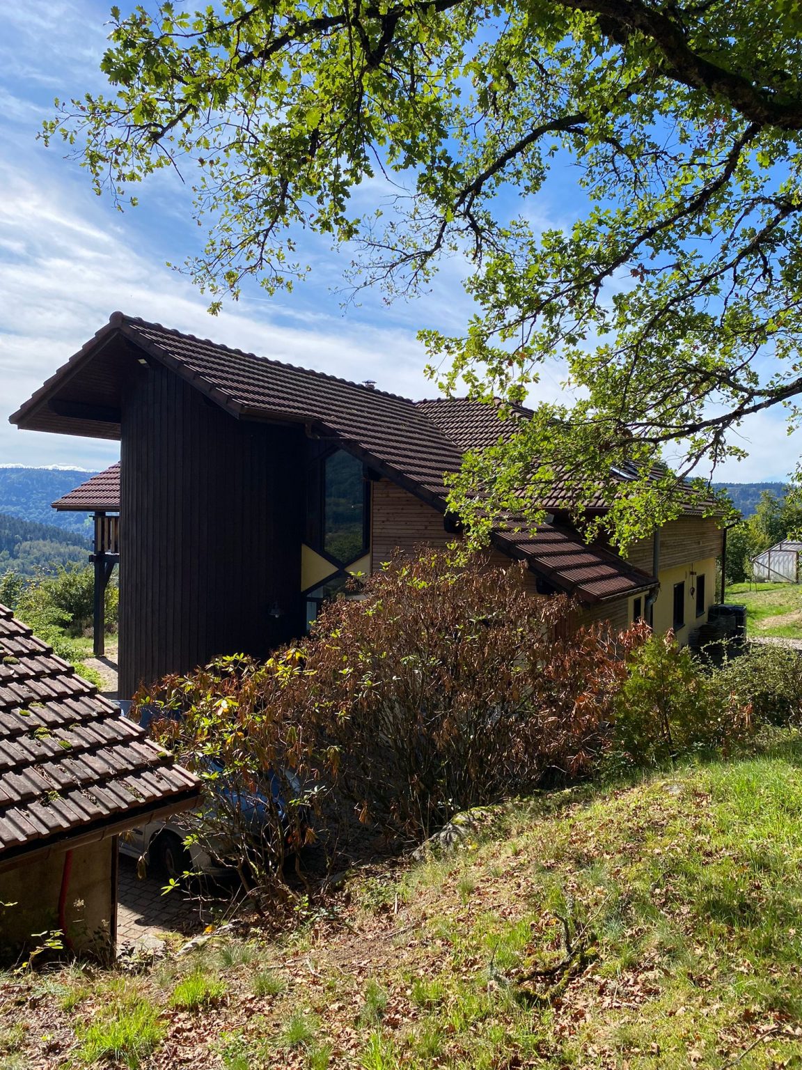 WhatsApp Image 2022-09-26 at 11.43.59