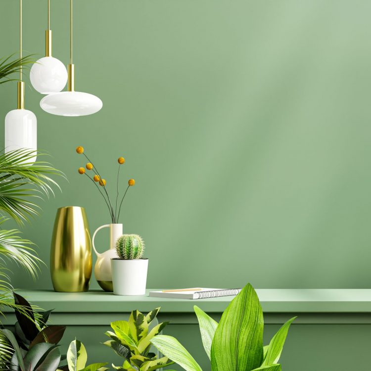 Green wall mockup with green plant and shelf.3D rendering